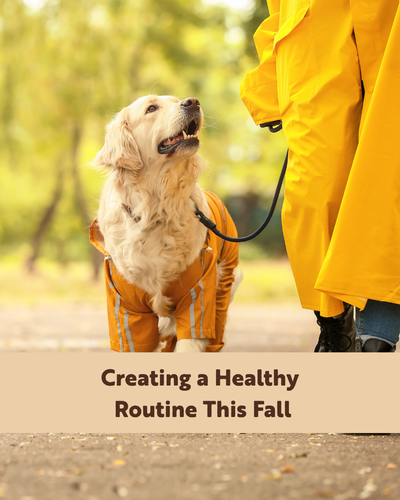Creating a Healthy Routine This Fall