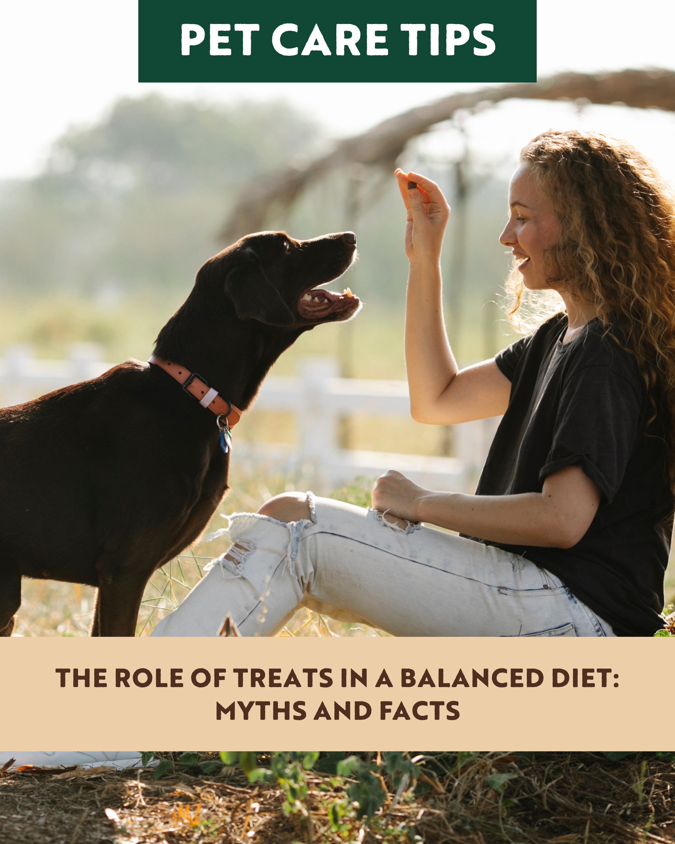 The Role of Treats in a Balanced Diet: Myths and Facts