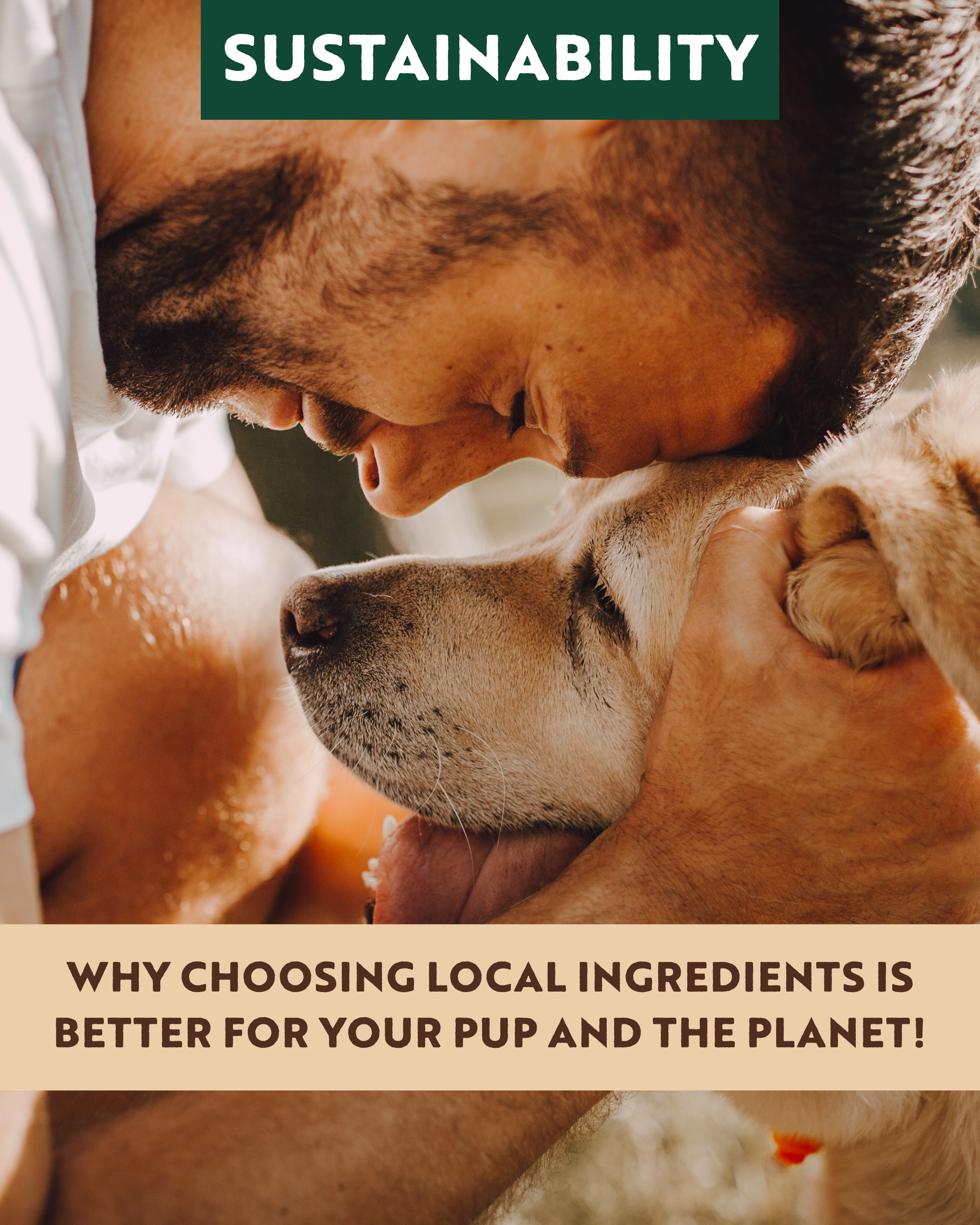The Benefits of Locally Sourced Dog Treats!