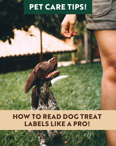 How to Read Dog Treat Labels Like a Pro!