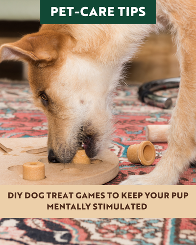 DIY Dog Treat Games to Keep Your Pup Mentally Stimulated