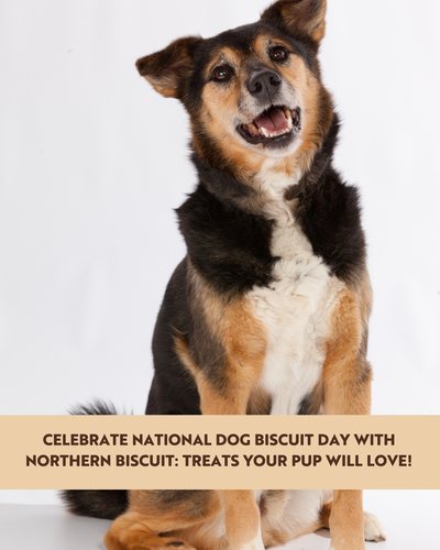 Celebrate National Dog Biscuit Day with Northern Biscuit: Treats Your Pup Will Love!