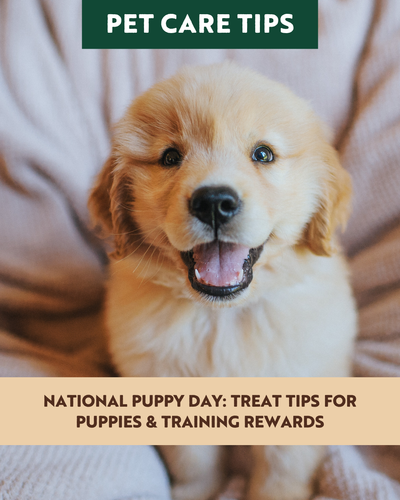 National Puppy Day: Treat Tips for Puppies & Training Rewards