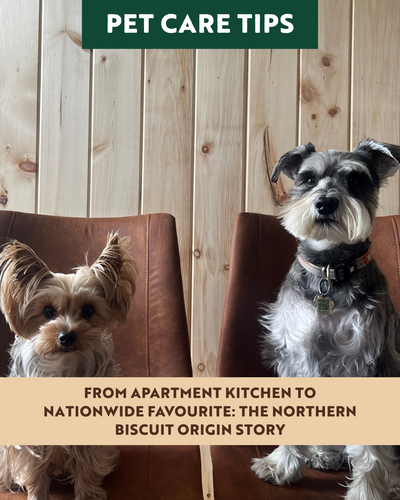 From Apartment Kitchen to Nationwide Favourite: The Northern Biscuit Origin Story