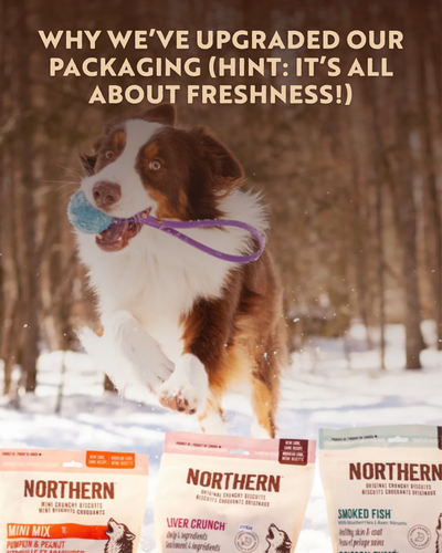 Why We’ve Upgraded Our Packaging (Hint: It’s All About Freshness!)