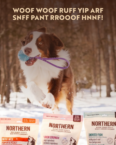 🐾 WOOF WOOF RUFF YIP ARF SNFF PANT RROOOF HNNF! 🐾