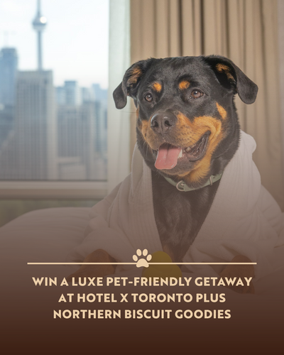 Win a Luxe Pet-Friendly Getaway at Hotel X Toronto Plus Northern Biscuit Goodies