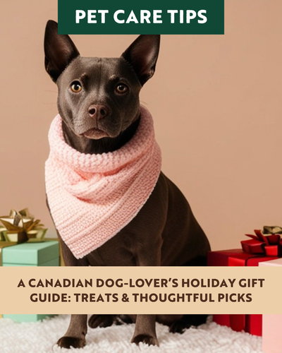A Canadian Dog-Lover’s Holiday Gift Guide: Treats & Thoughtful Picks