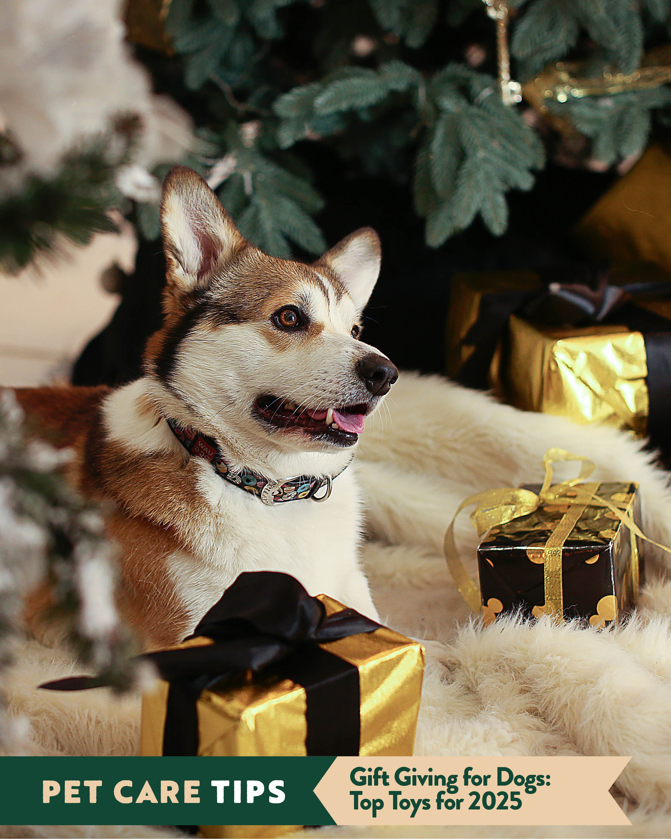 Gift Giving for Dogs: Top Toys for 2025