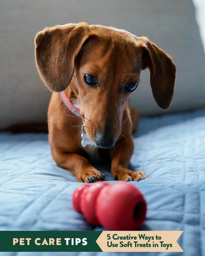 5 Creative Ways to Use Soft Treats for Enrichment