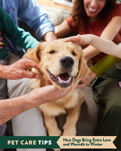 How Dogs Bring Extra Love and Warmth to Winter