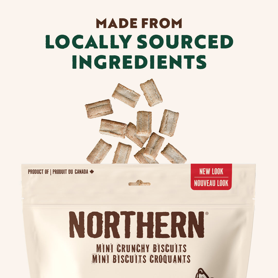 MiniMix Surf & Turf Mini Biscuits – Northern Dog Biscuit Bakery