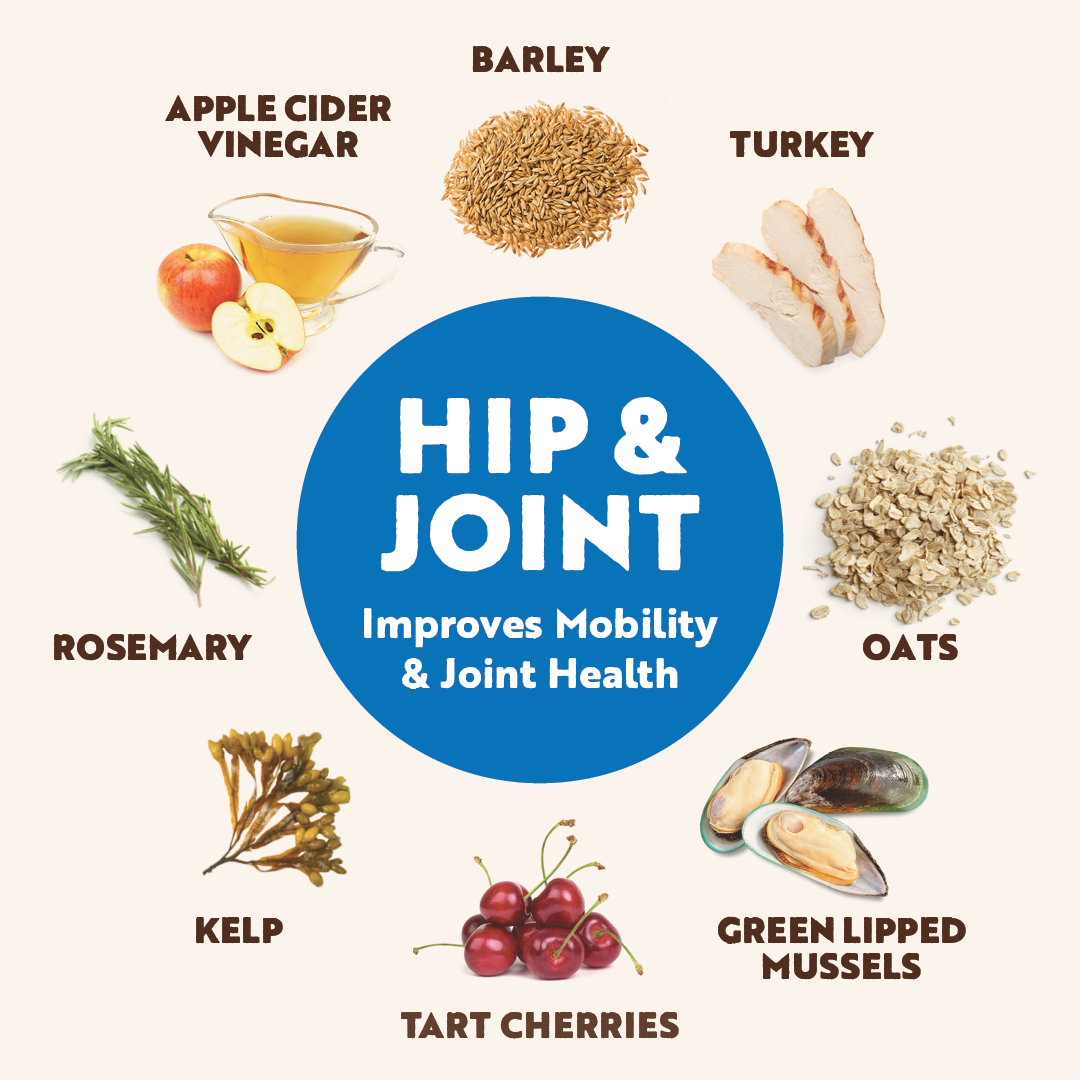 Hip & Joint Biscuits